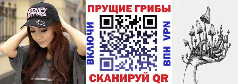 Галлюциногенные грибы Cubensis  blacksprut как зайти  Нестеров 